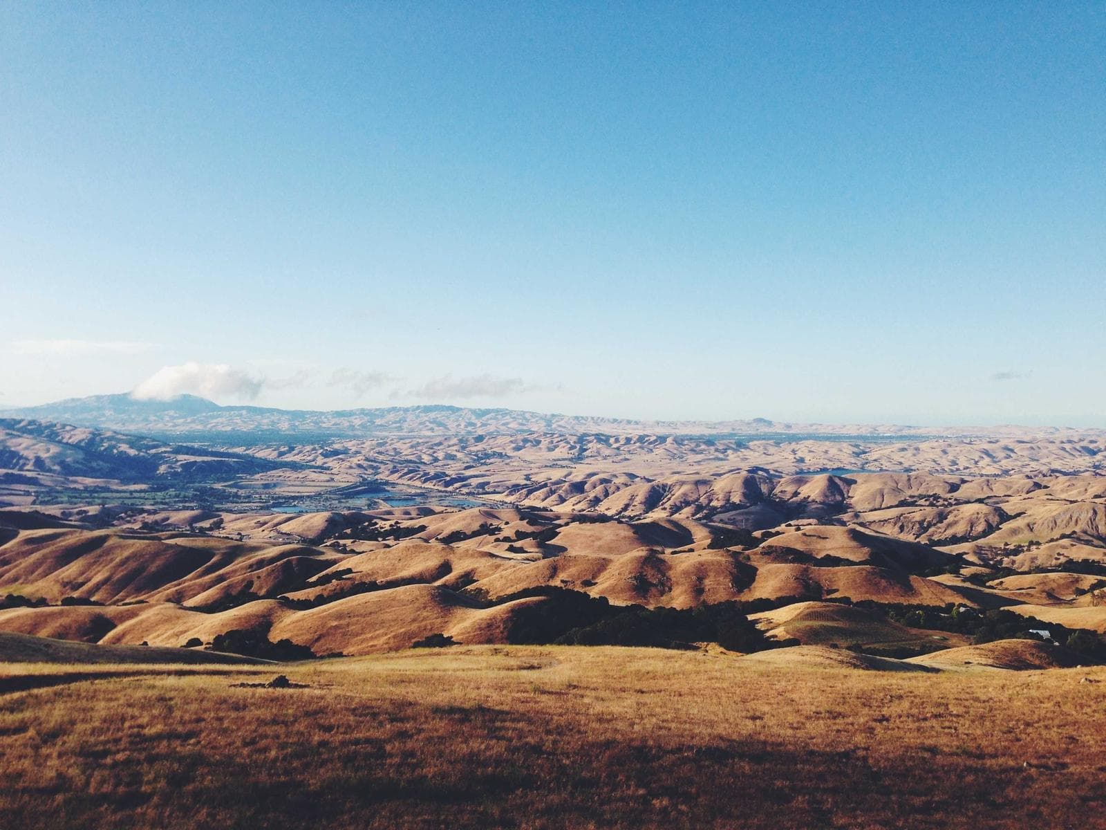 Colline dorate fino all'orizzonte